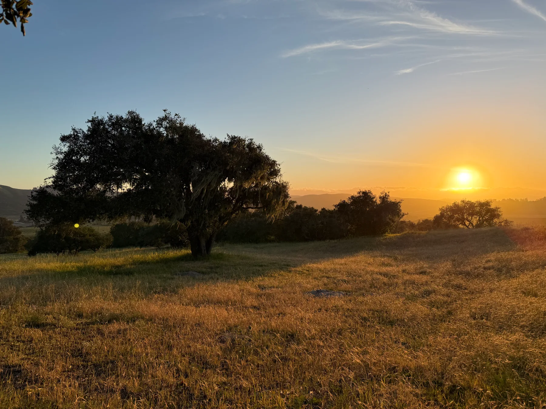 Open landscape at golden hour — establishing scale and long-horizon posture.